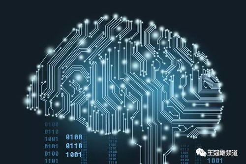 貝貝網的場景革命 創新升級如何重塑網絡消費生態